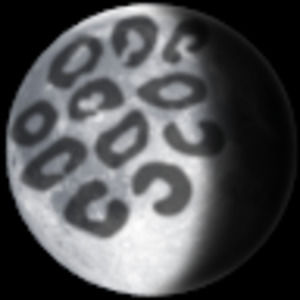 Meet your Posher, Leopardess